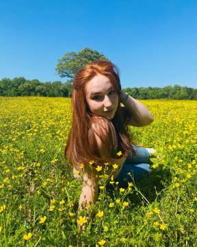 tameMel0ve de Guipúzcoa,España